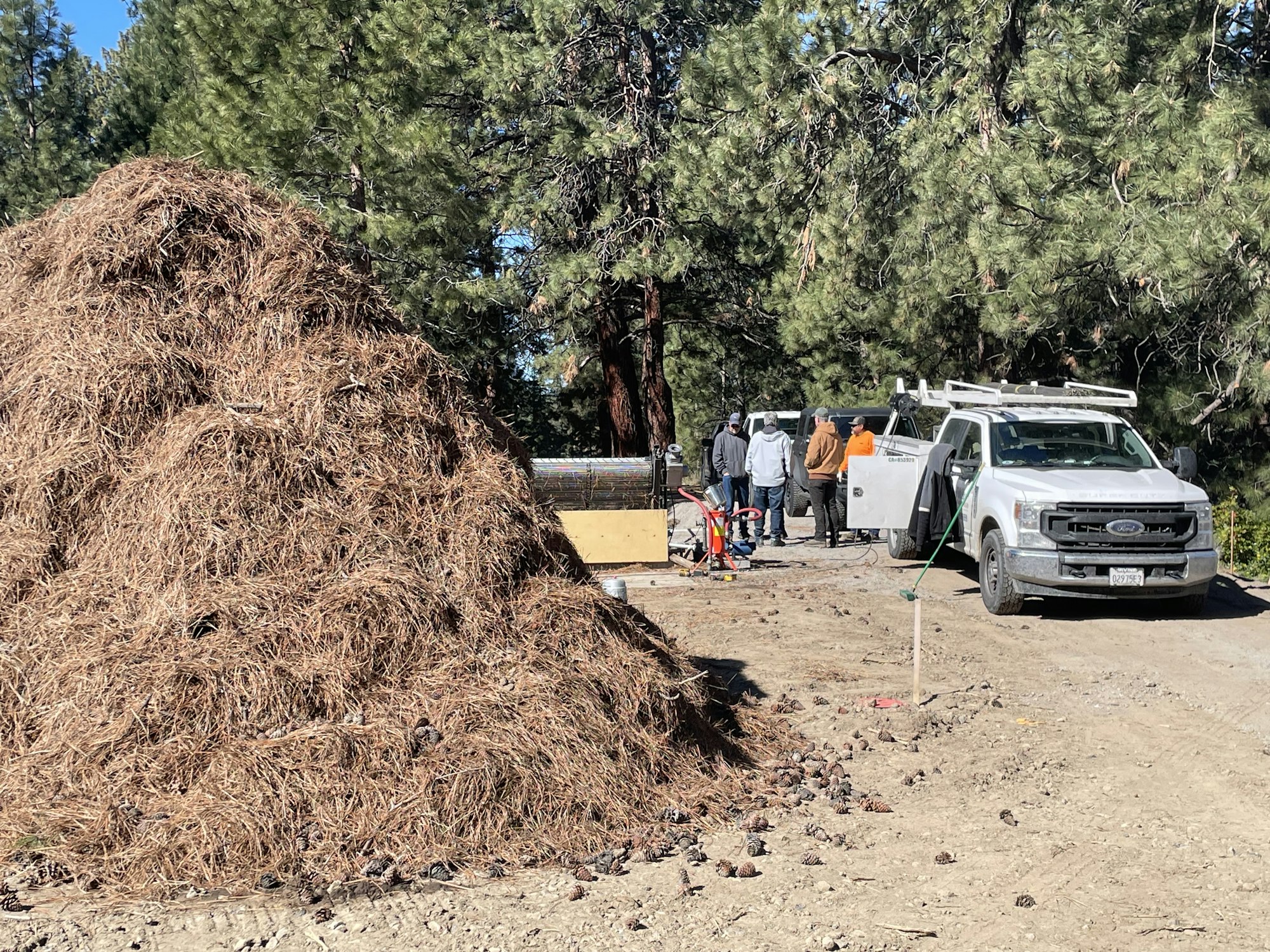 Large pile of pine needles, work crew with equipment, pickup truck, forested backdrop.