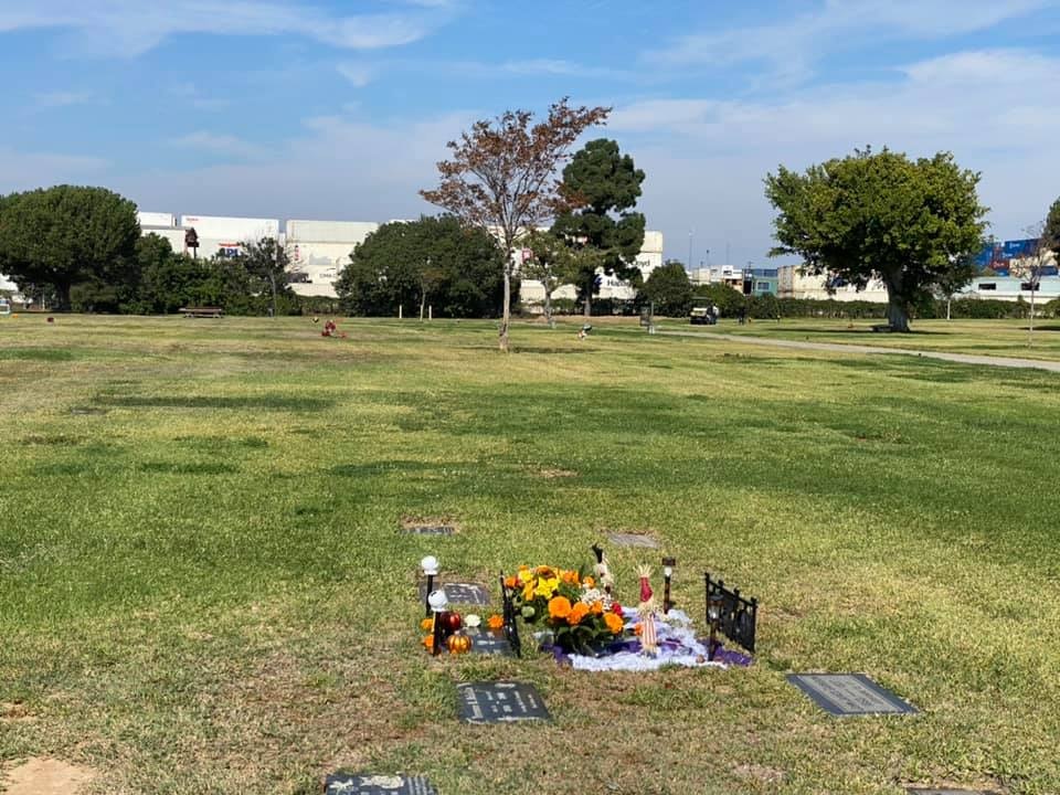 The image shows a grassy area with a grave marker decorated with flowers, surrounded by trees and open space.
