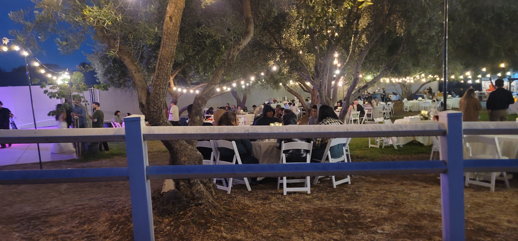 Outdoor gathering under string lights, people sitting at tables between trees, evening setting.