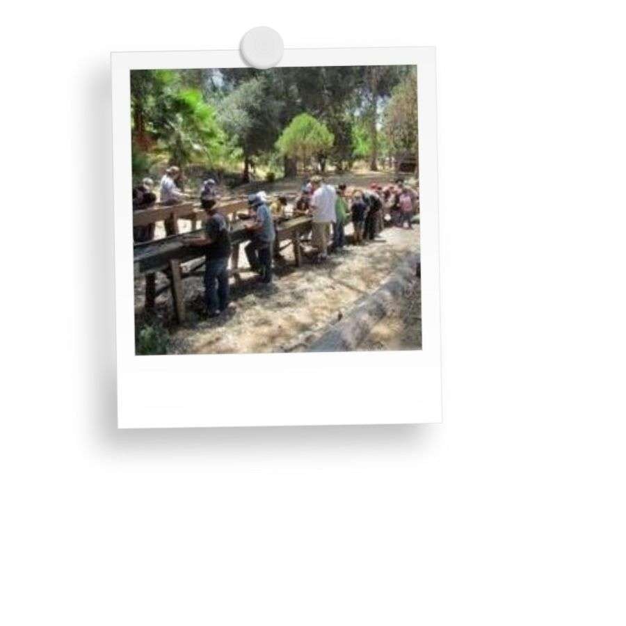 A group of people standing at long wooden tables outdoors, surrounded by trees and greenery.