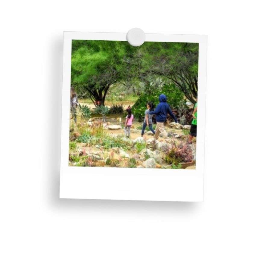 A group of people walking through a garden with trees and rocks.