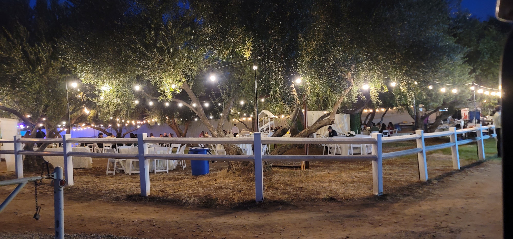 Outdoor evening event with string lights, tables with white chairs, and trees, surrounded by a white fence.