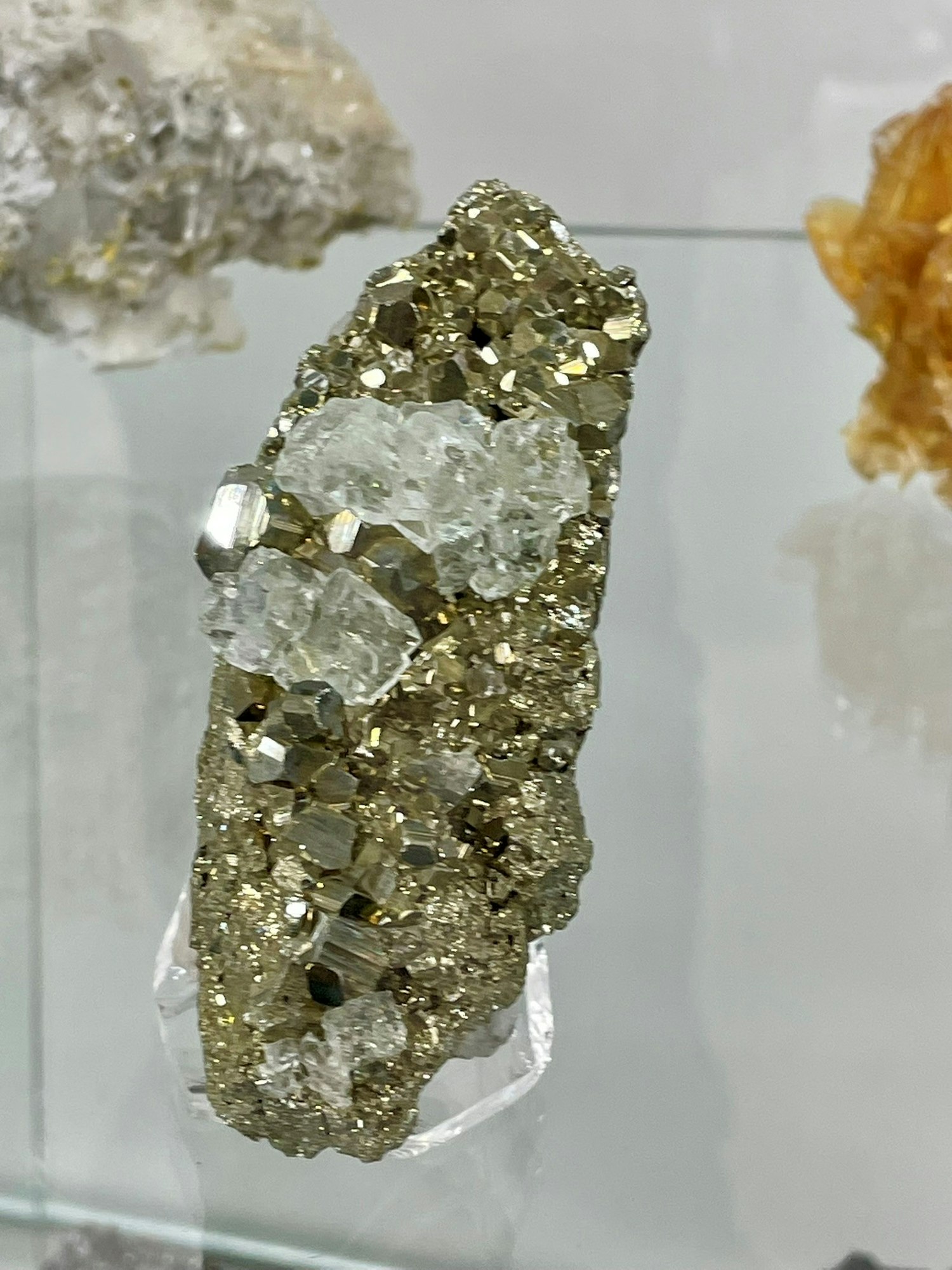 A cluster of cubic gold-colored pyrite crystals intermingled with clear quartz on display.