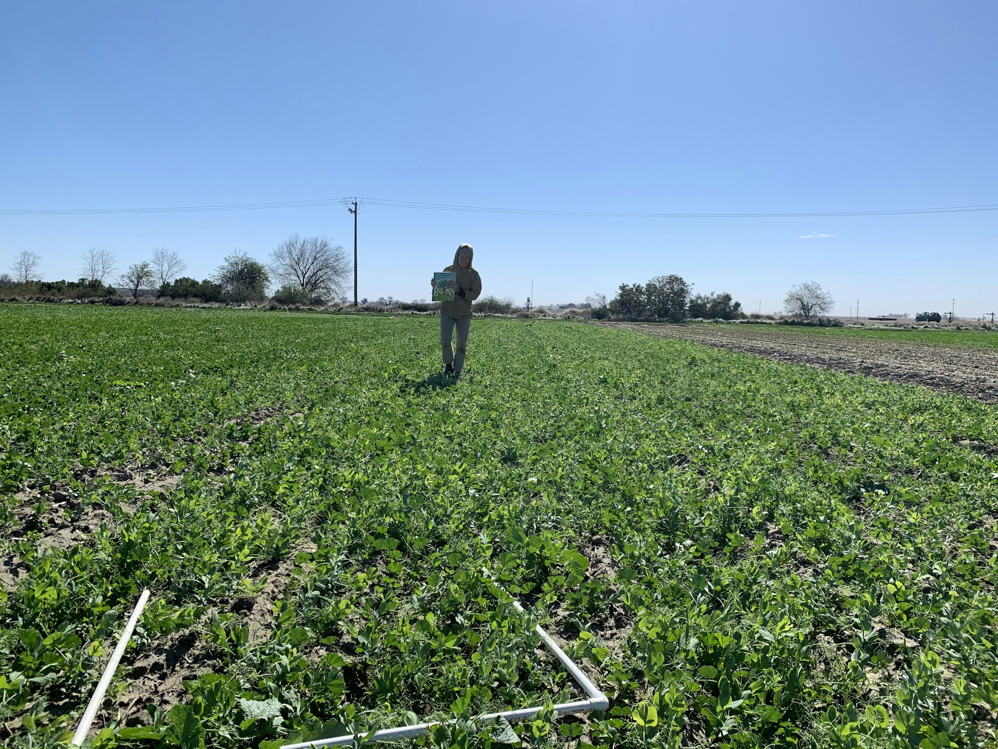 May contain: field, person, human, nature, outdoors, and grassland