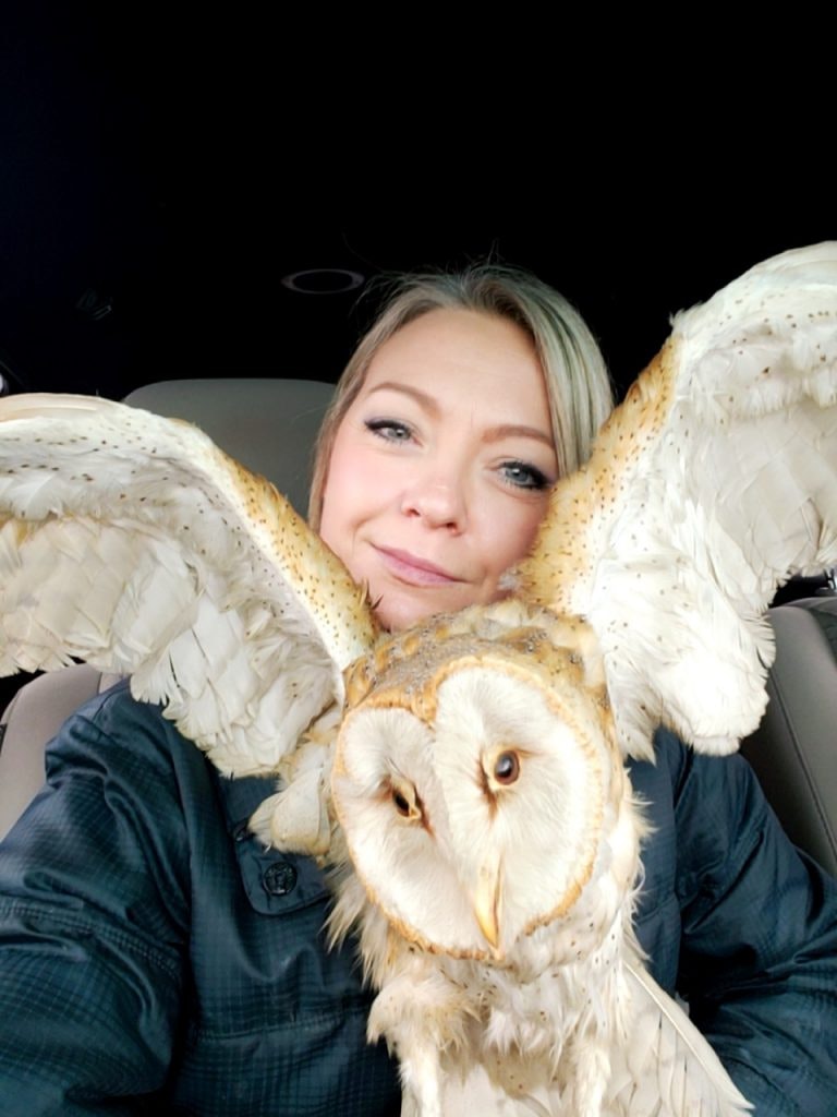 May contain: animal and bird