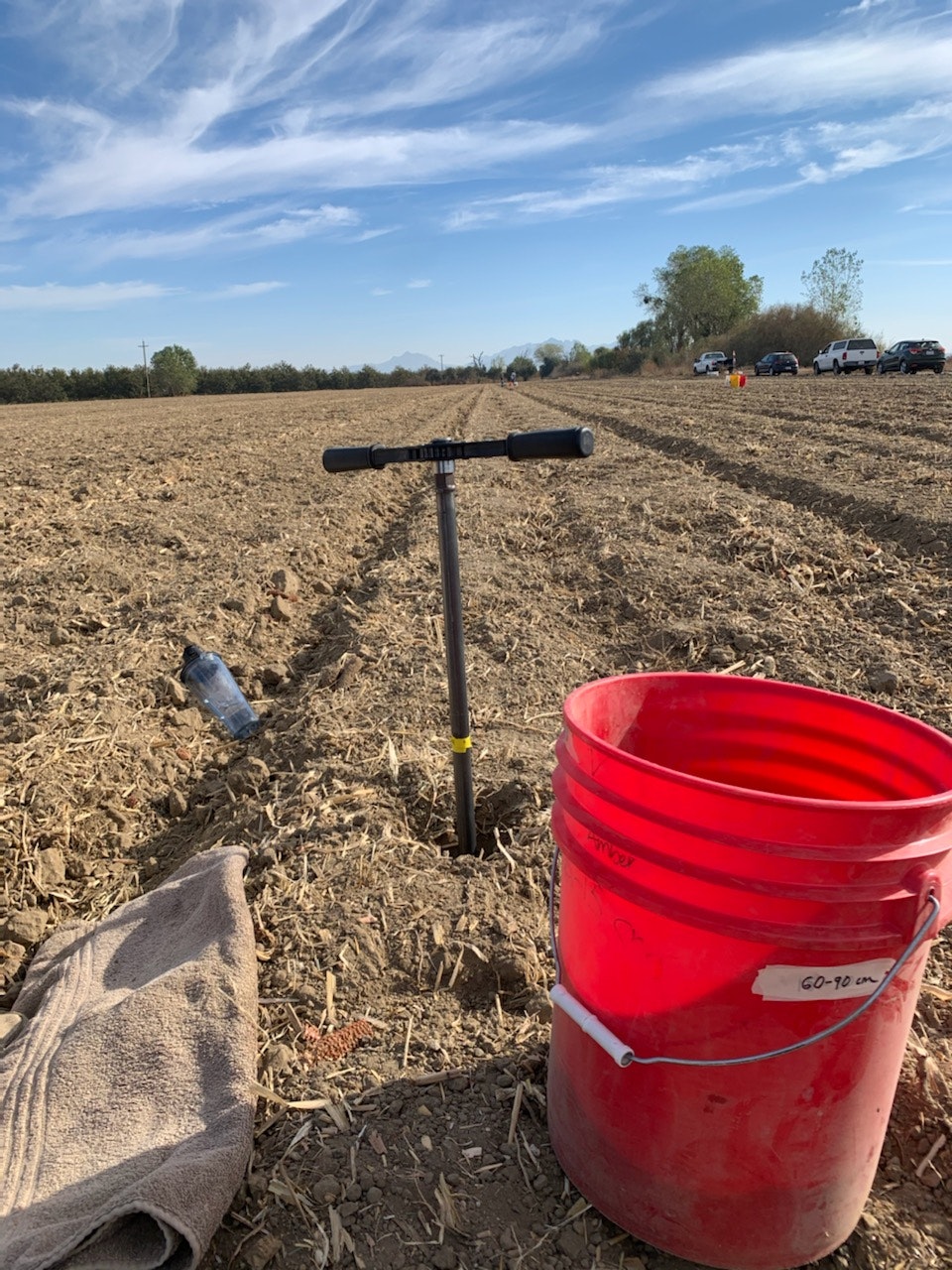 May contain: soil, bucket, ground, outdoors, nature, animal, and bird