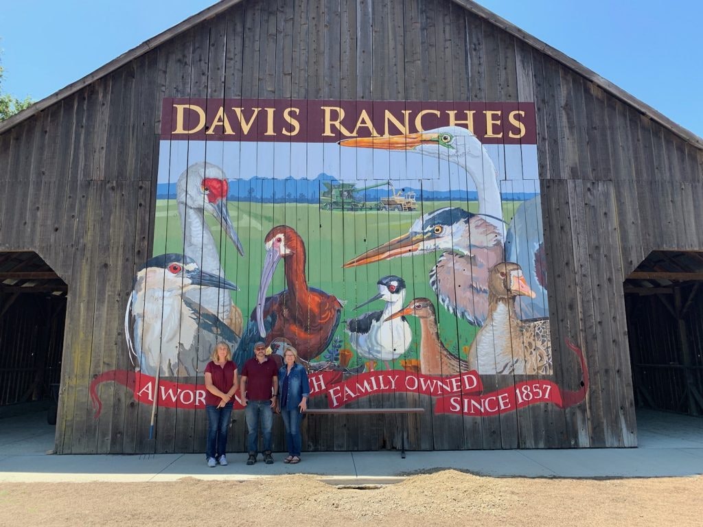 May contain: human, person, nature, outdoors, building, and countryside