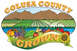 May contain: vegetation, bush, and plant