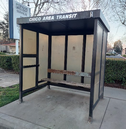 A Chico Area Transit bus shelter with a bench and surrounding greenery.