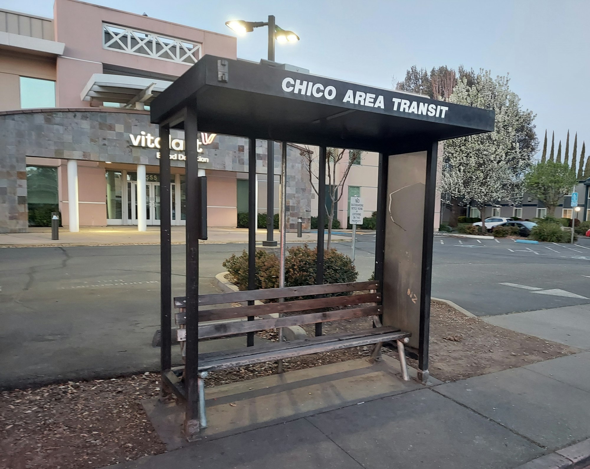 Bus shelter labeled "Chico Area Transit" near a building, trees, and parking lot.