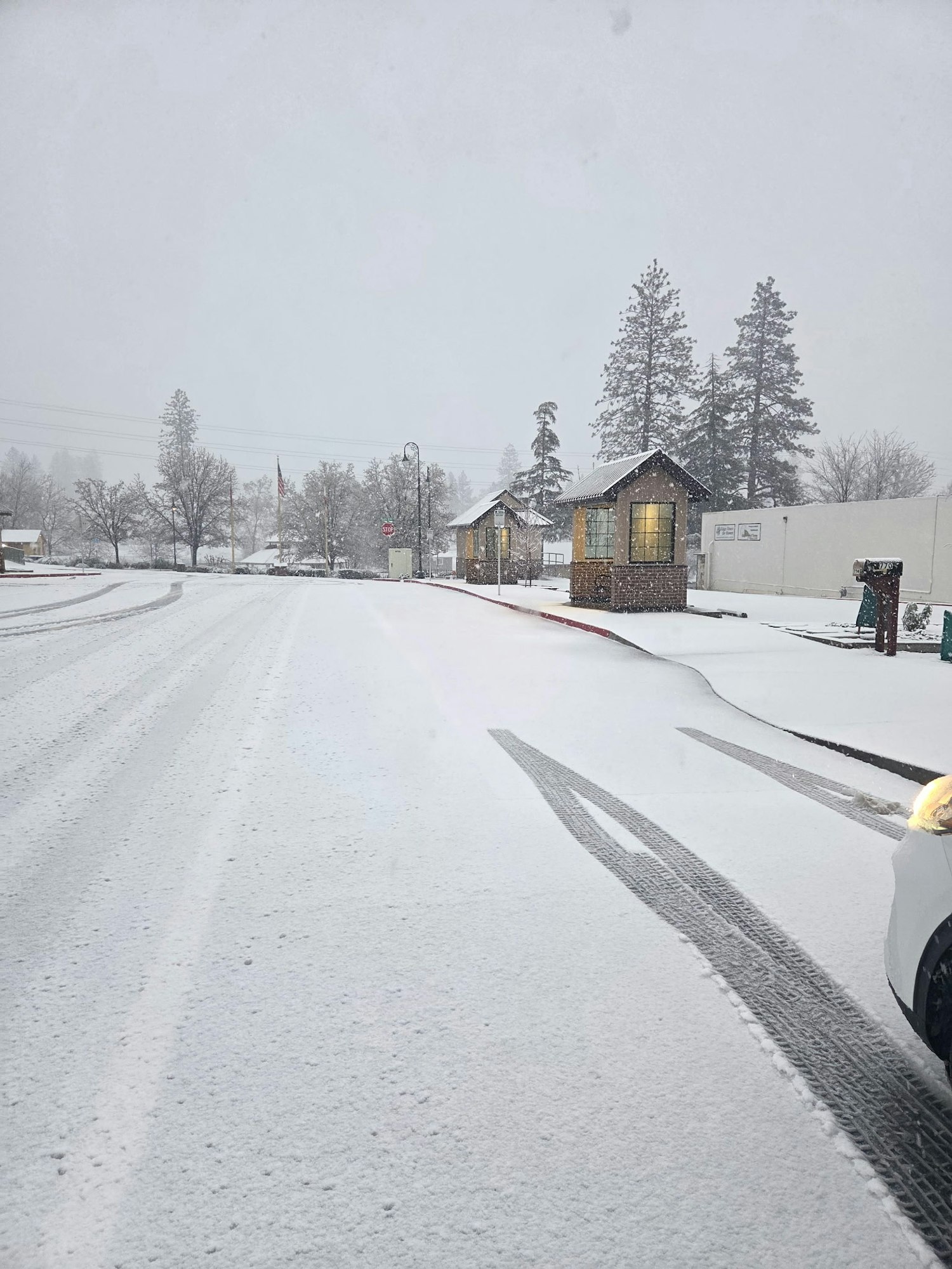 A snowy street scene with tire tracks, trees, and buildings partially obscured by falling snowflakes, creating a winter atmosphere.