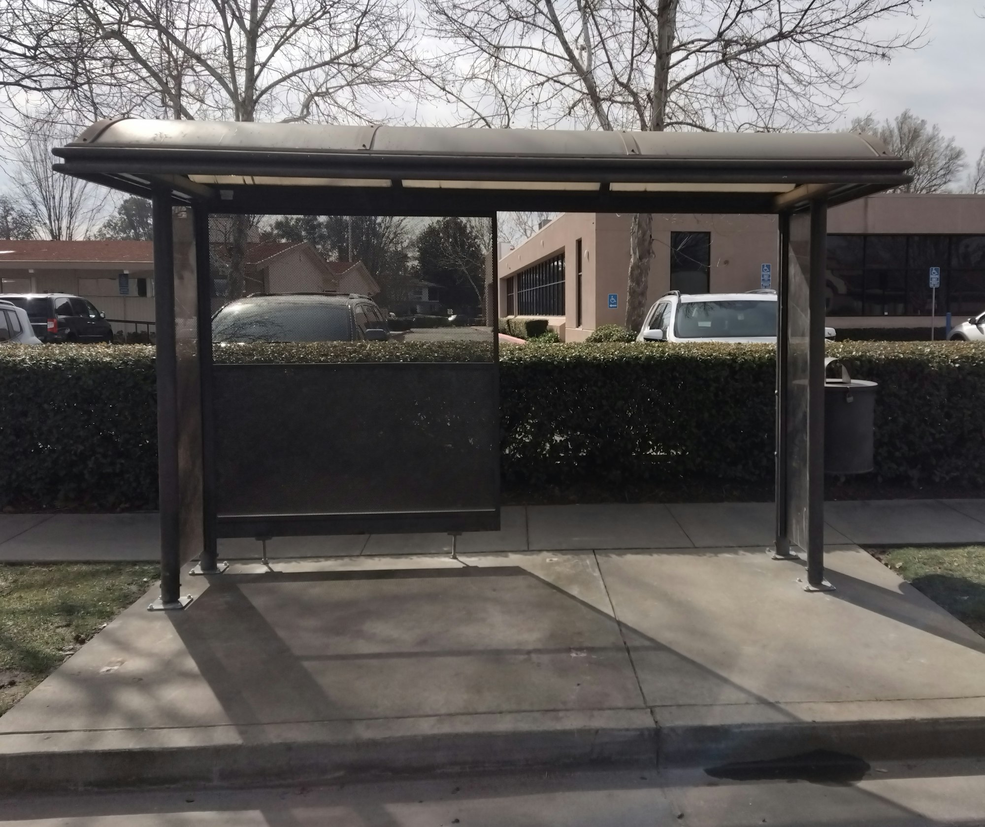 A bus stop shelter with a metal roof and bench, surrounded by hedges, trees, and nearby buildings.