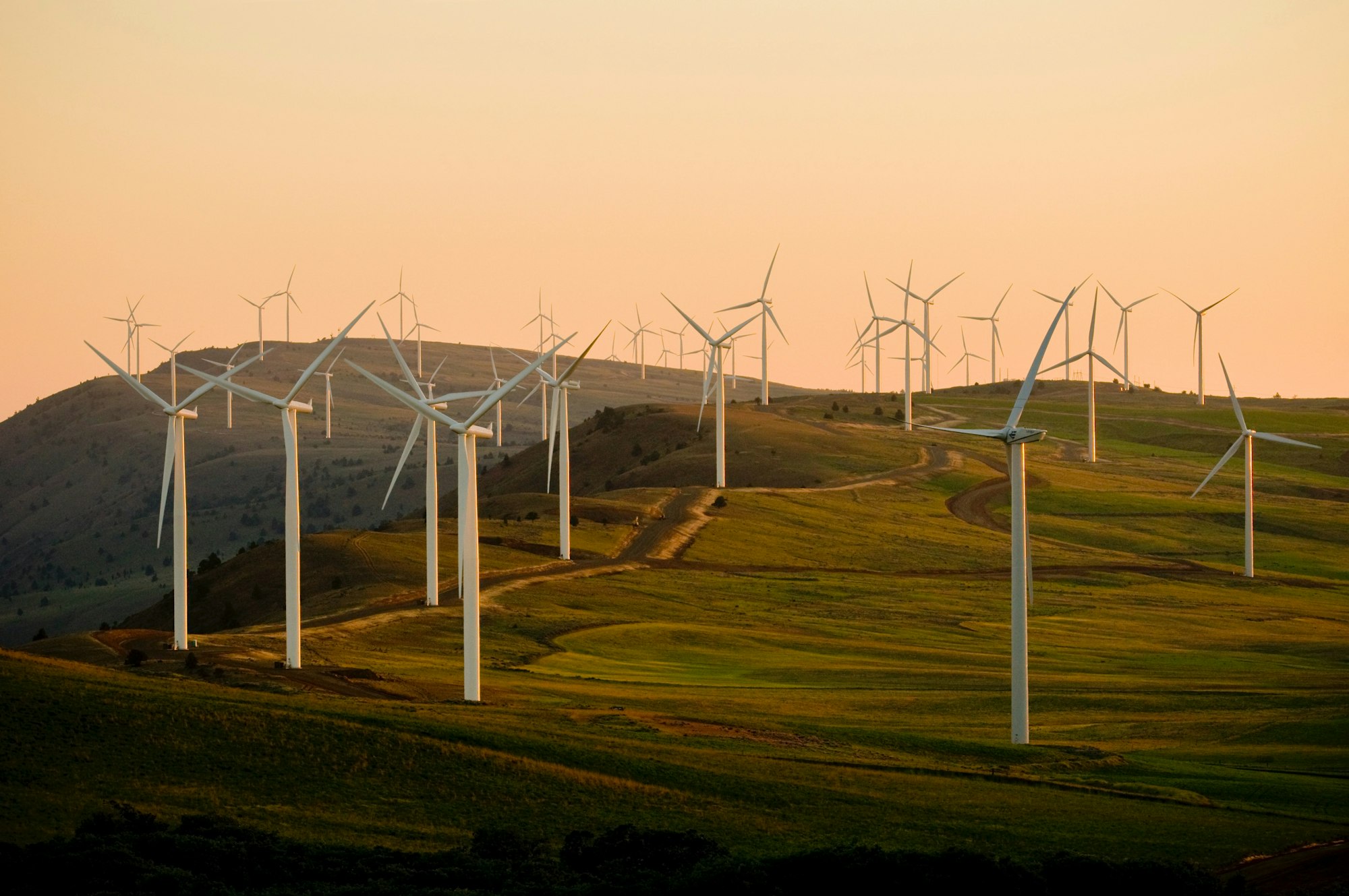 turbines in the fields