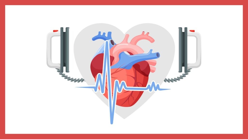 A heart illustration with two defibrillator paddles and an ECG line in front.