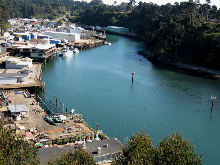 A scenic view of a harbor with moored boats, piers, and nearby waterfront buildings, surrounded by greenery.