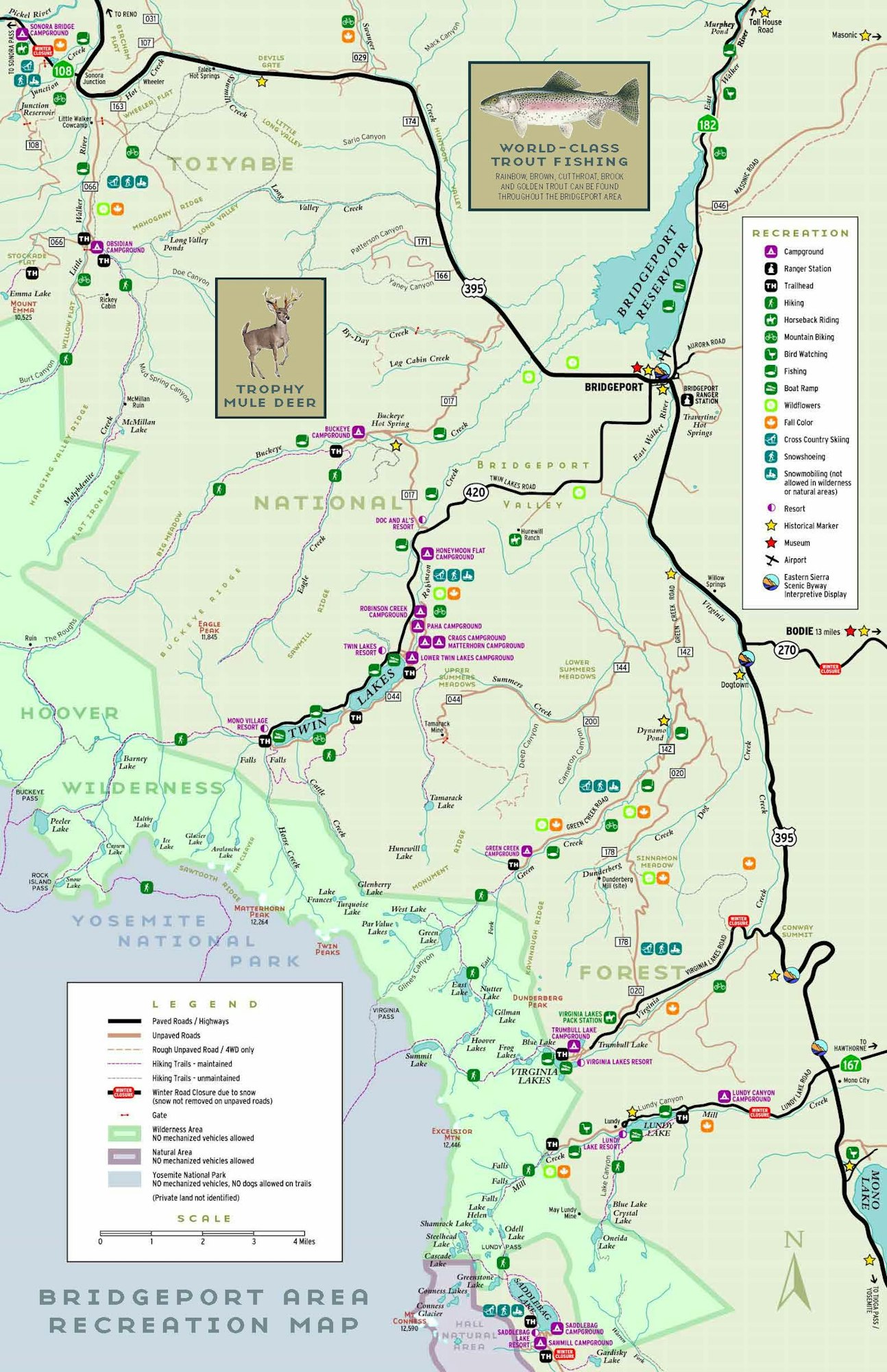 A detailed recreation map highlighting trails, camping, and points of interest around Bridgeport, with symbols for activities like fishing.