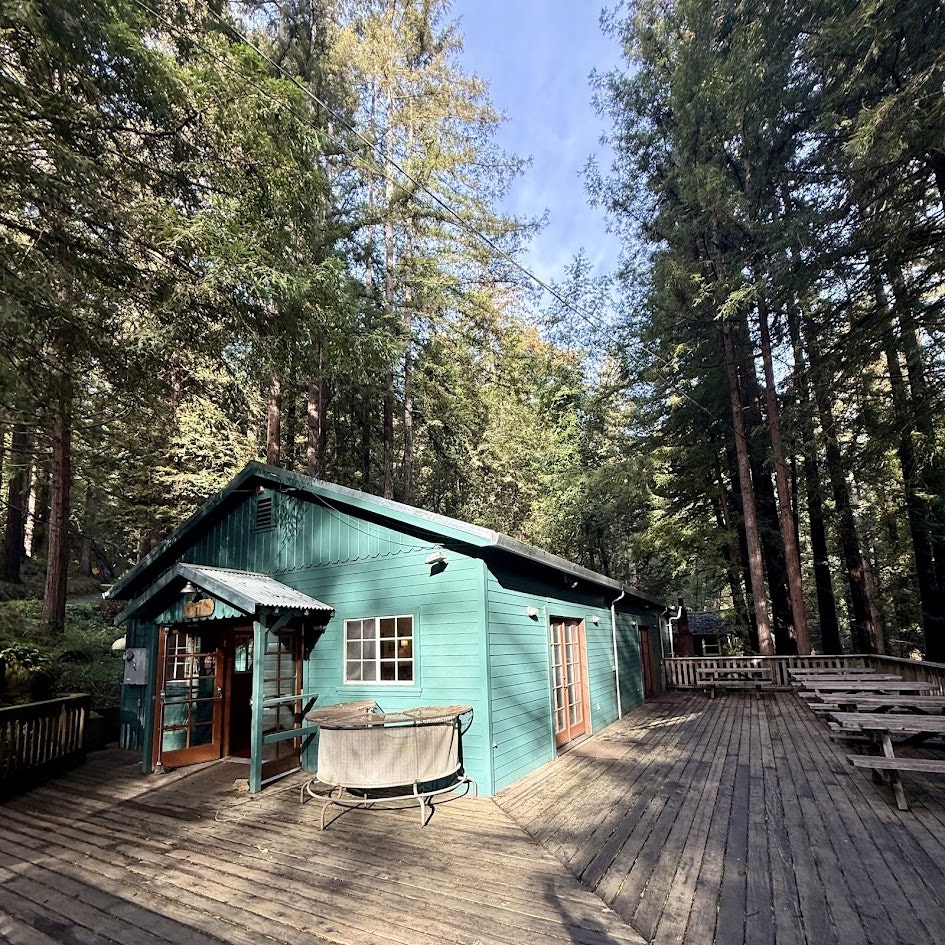 A teal wooden cabin surrounded by tall trees, featuring a deck and large windows, set in a serene forest environment.