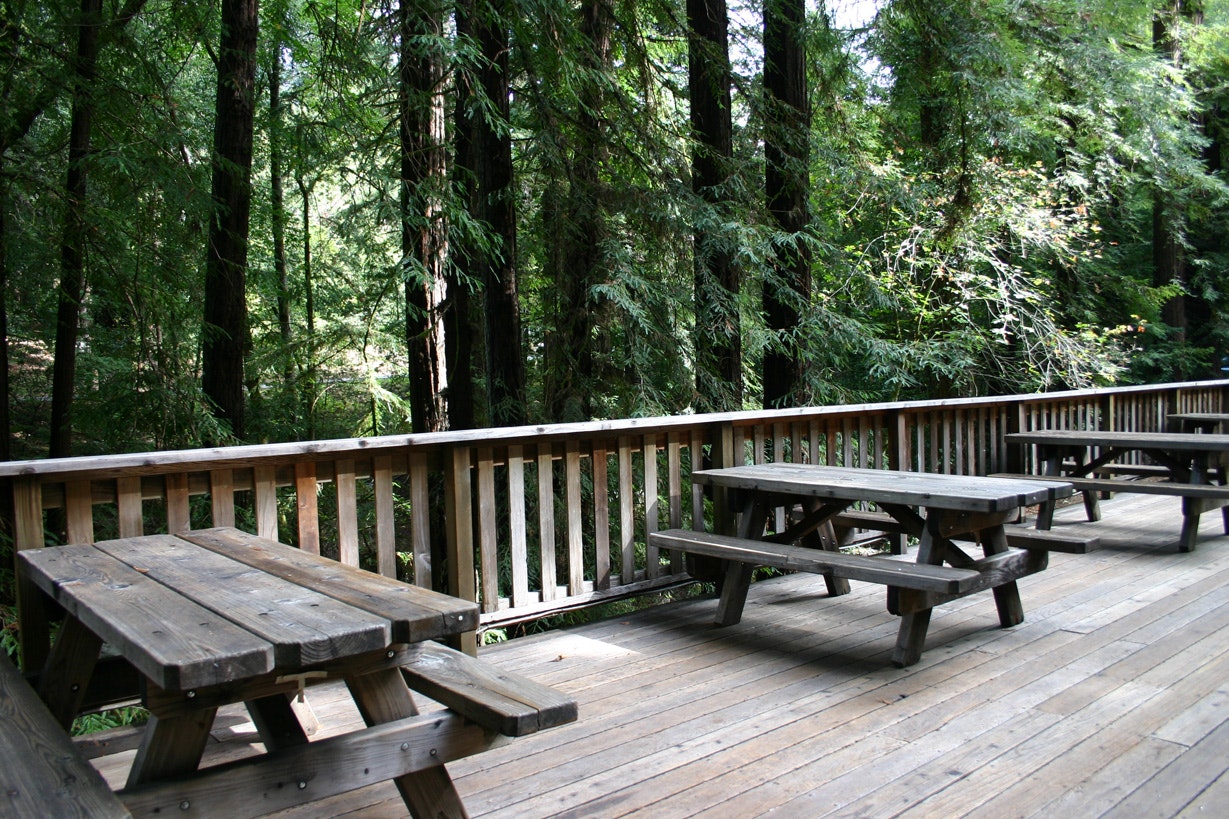 Wooden picnic tables on a deck surrounded by tall trees.