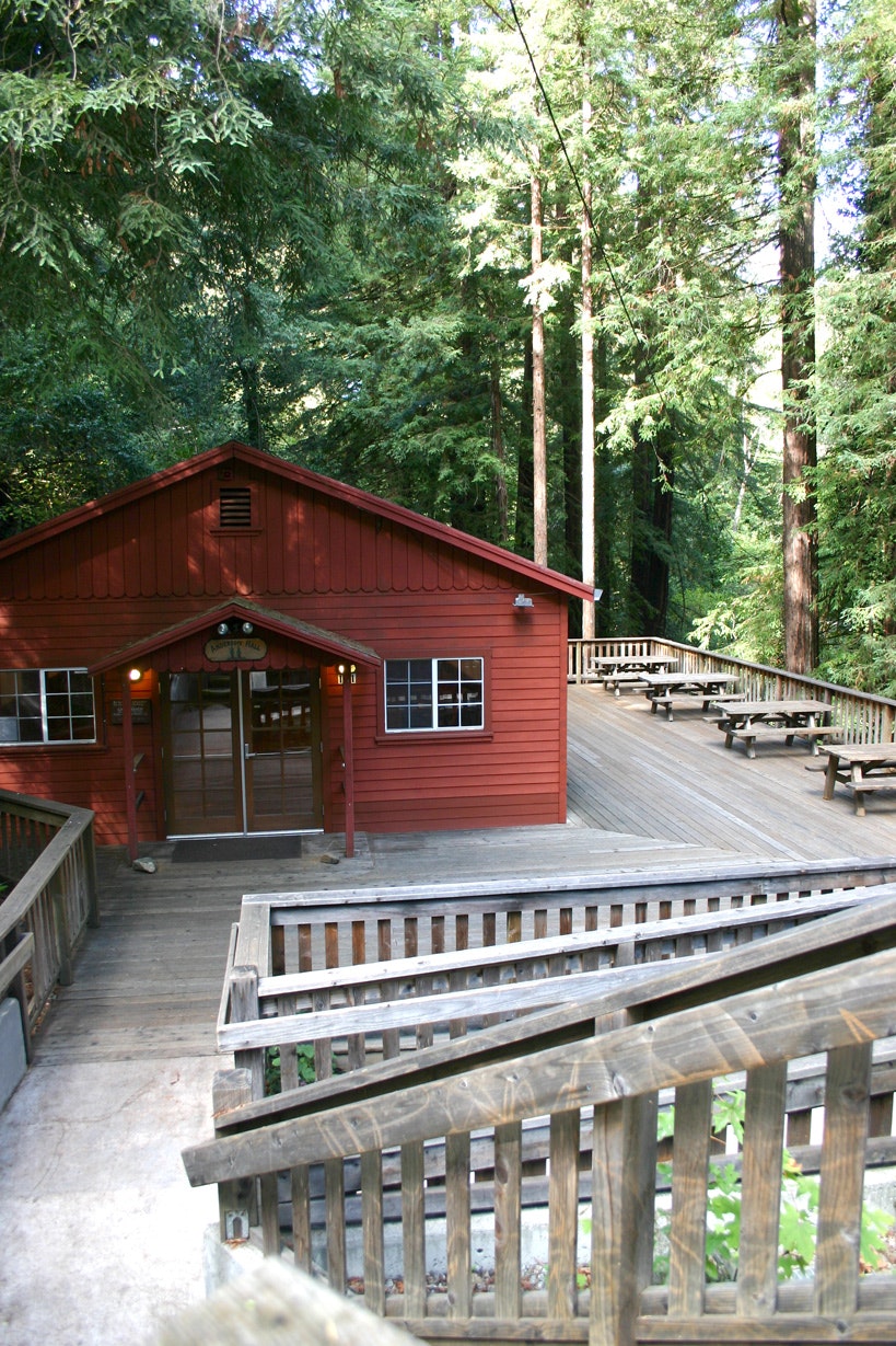 A red wooden building with a deck surrounded by towering green trees.