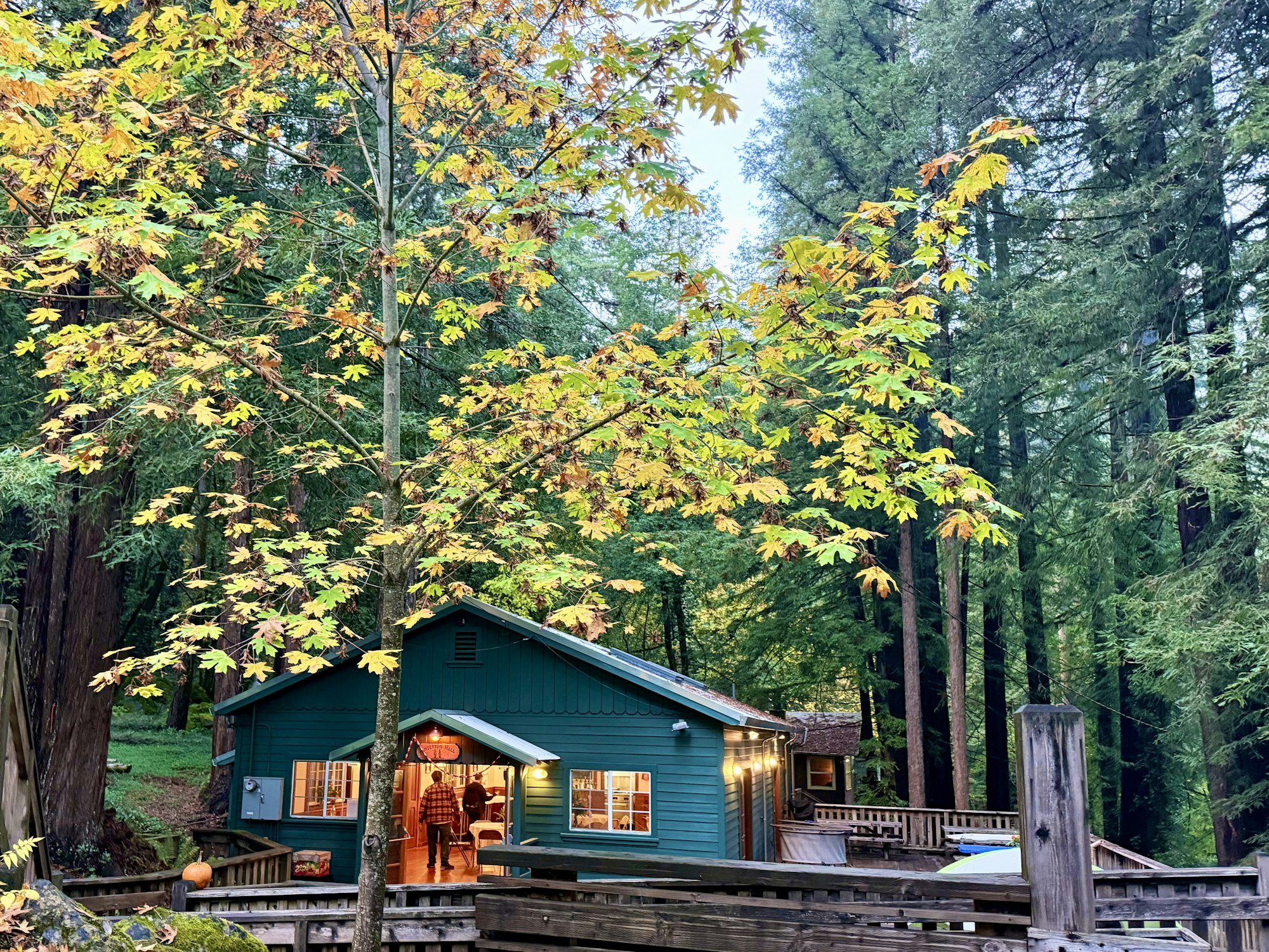 A cozy green cabin surrounded by vibrant fall foliage and towering trees, creating a peaceful forest setting.