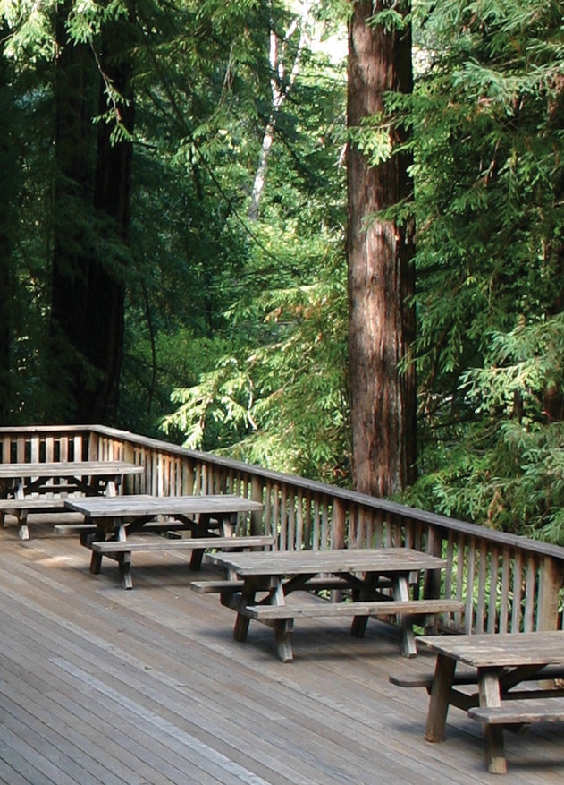 Wooden deck with benches in a forest.