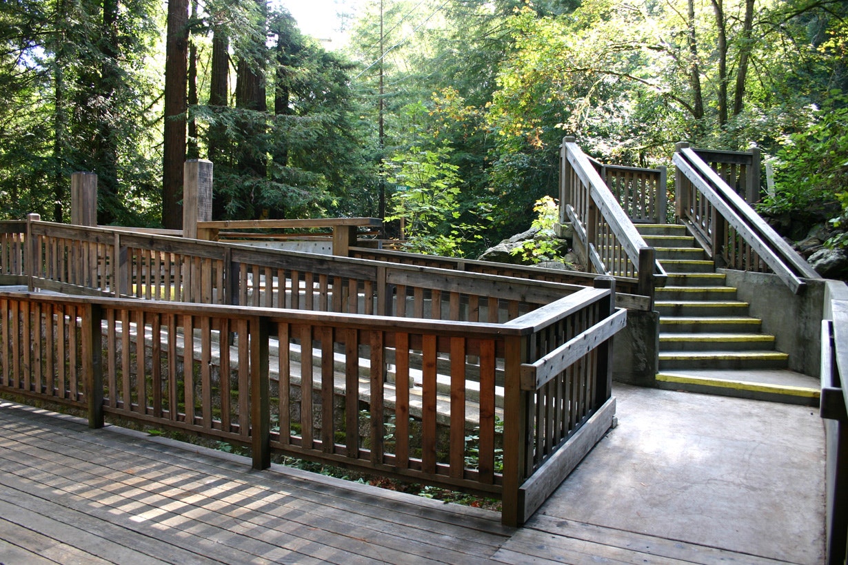 Wooden deck with railing and stairs amidst a forest.