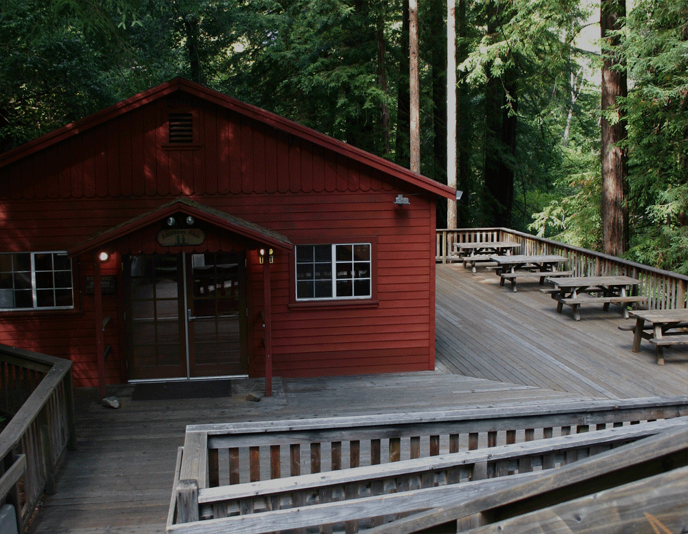 Red cabin with picnic tables surrounded by tall trees.