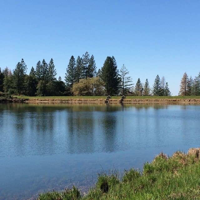 May contain: water, nature, outdoors, reservoir, tree, plant, and land