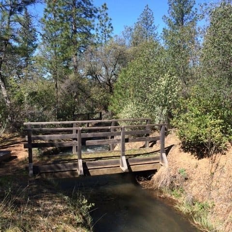 May contain: building, water, outdoors, bridge, path, bench, and furniture