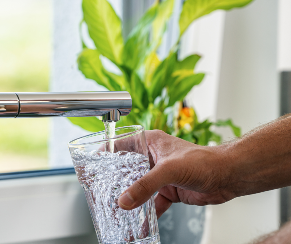 A hand fills a glass with water from a faucet, with a plant in the background.