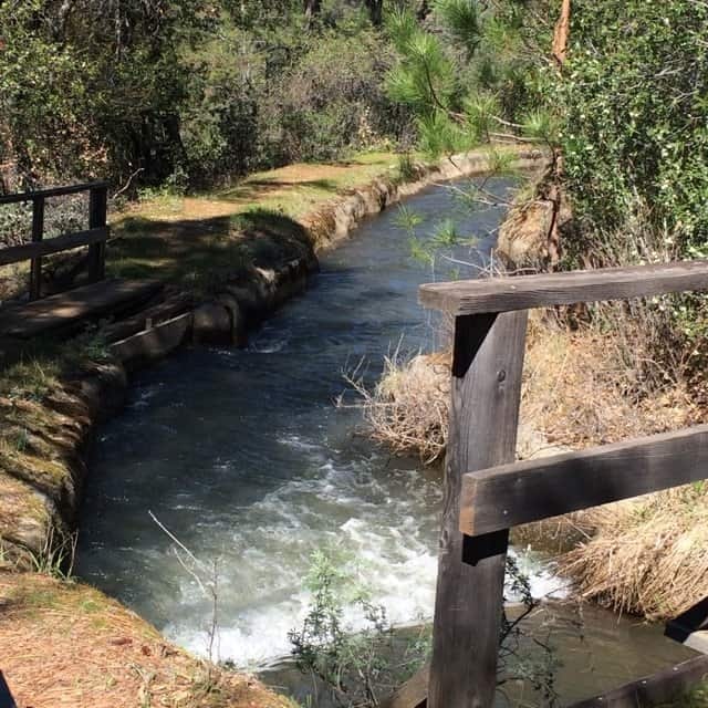 May contain: water, nature, outdoors, vegetation, plant, stream, creek, and land