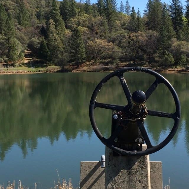 May contain: water, outdoors, nature, tree, plant, vegetation, woodland, land, forest, wheel, and machine