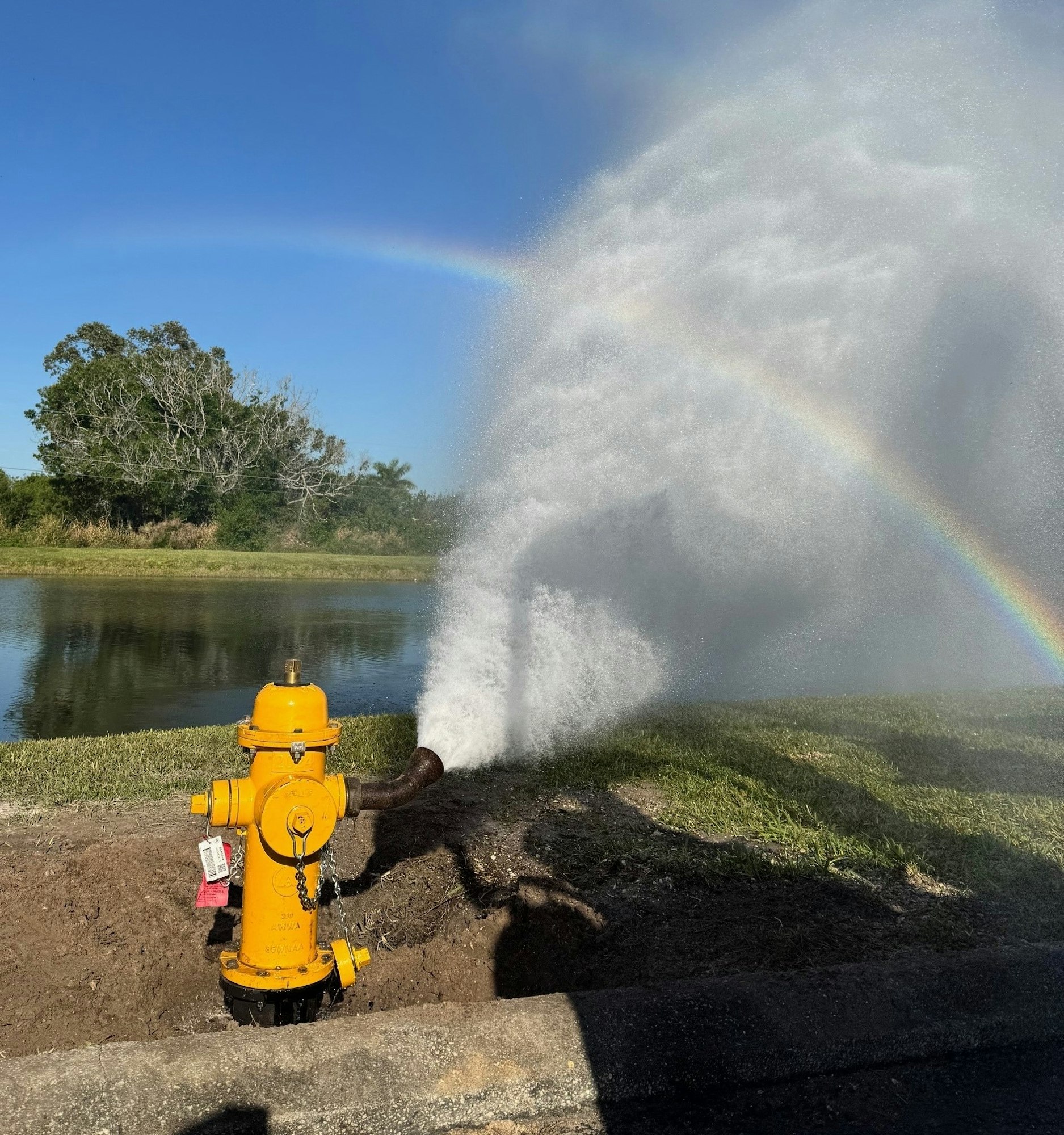 A yellow fire hydrant spraying water, creating a rainbow in the mist against a blue sky next to a pond.