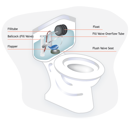 Toilet diagram showing fill tube, ballcock, flapper, float, overflow tube, and flush valve seat.