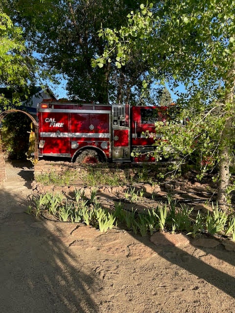 A fire truck parked on a tree-lined dirt road, during sunny day.