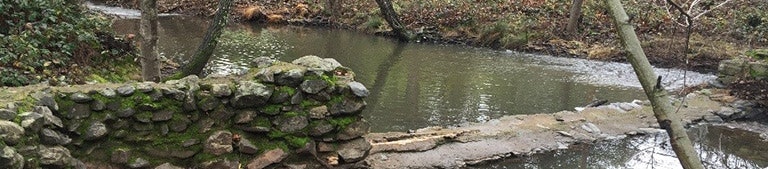 May contain: water, nature, outdoors, rock, and pond