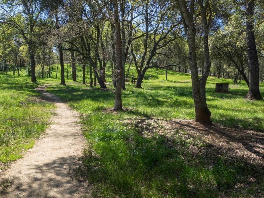 May contain: path, trail, plant, tree, vegetation, ground, nature, outdoors, woodland, land, and forest