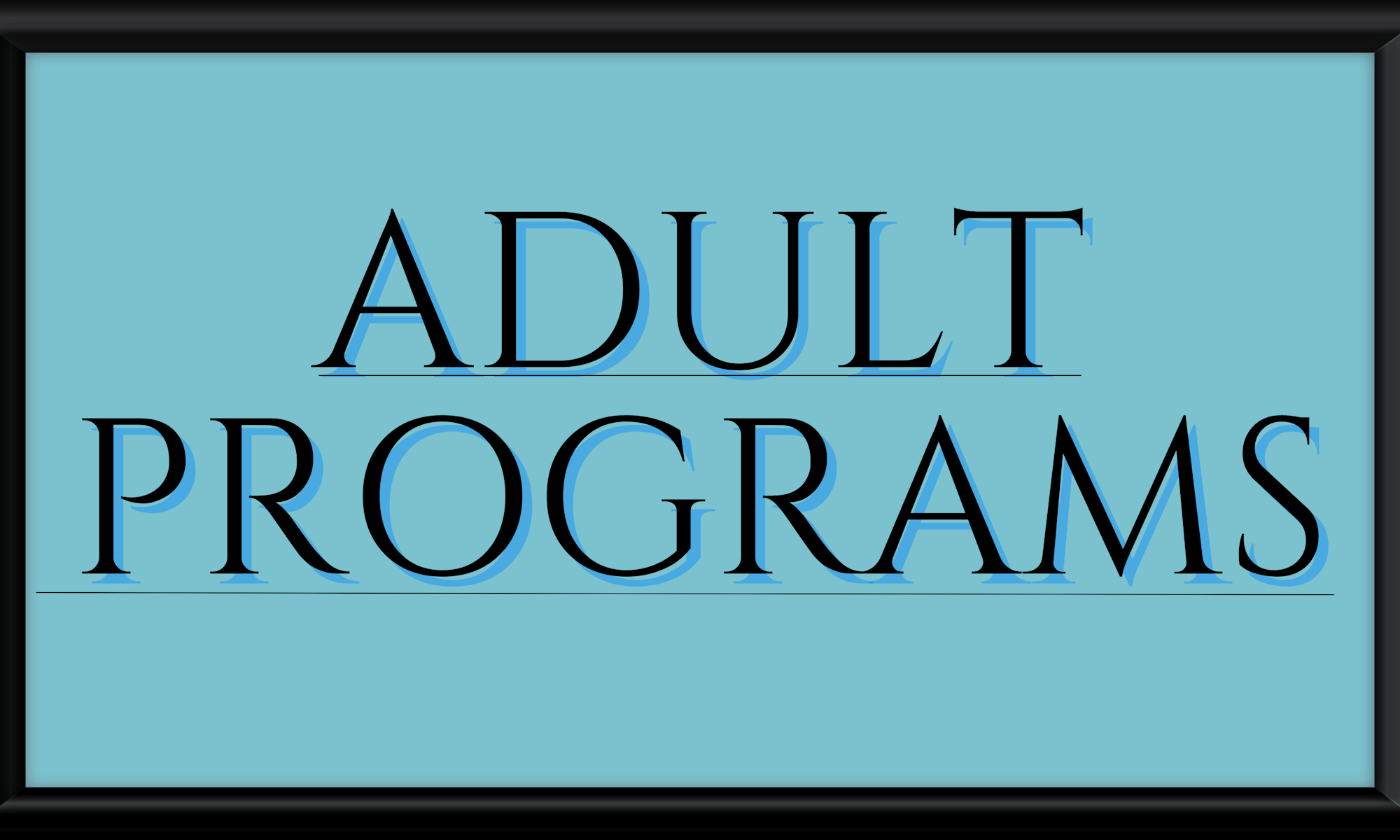Text on a blue background: "ADULT PROGRAMS".