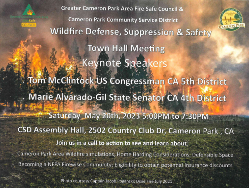 May contain: advertisement, fire, forest fire, and poster